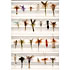 Flies-Dry-24ct-02_2