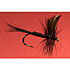 Flies-Dry-24ct-02_5