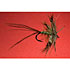 Flies-ParaMay-01-13ct_6