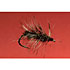 Flies-ParaMay-01-13ct_9