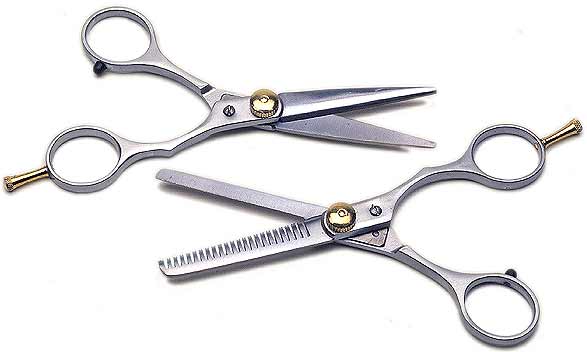 Scissors Pro Barber Hair Stylist Shears Thinning 2 Pair